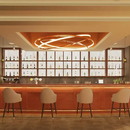 Radisson Blu Hotel